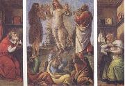 Sandro Botticelli Transfiguration,with St Jerome(at left) and St Augustine(at right) oil painting picture wholesale